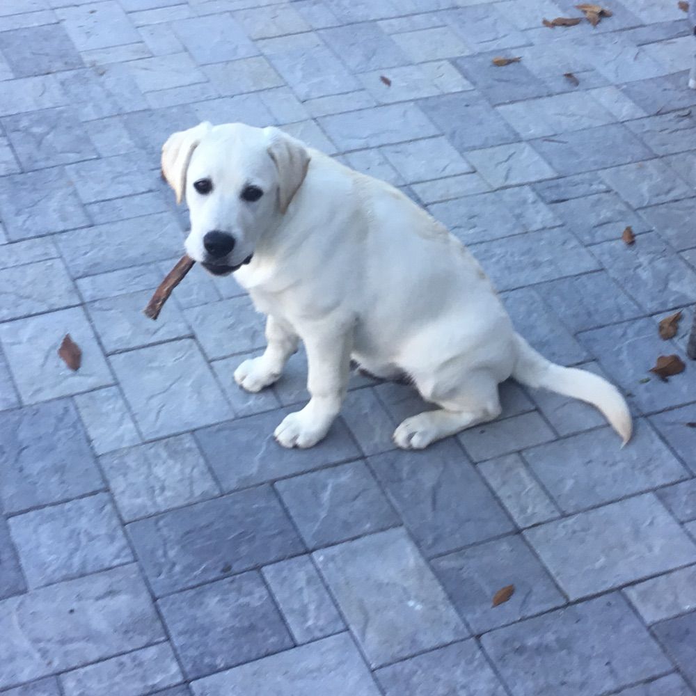 My buddy
