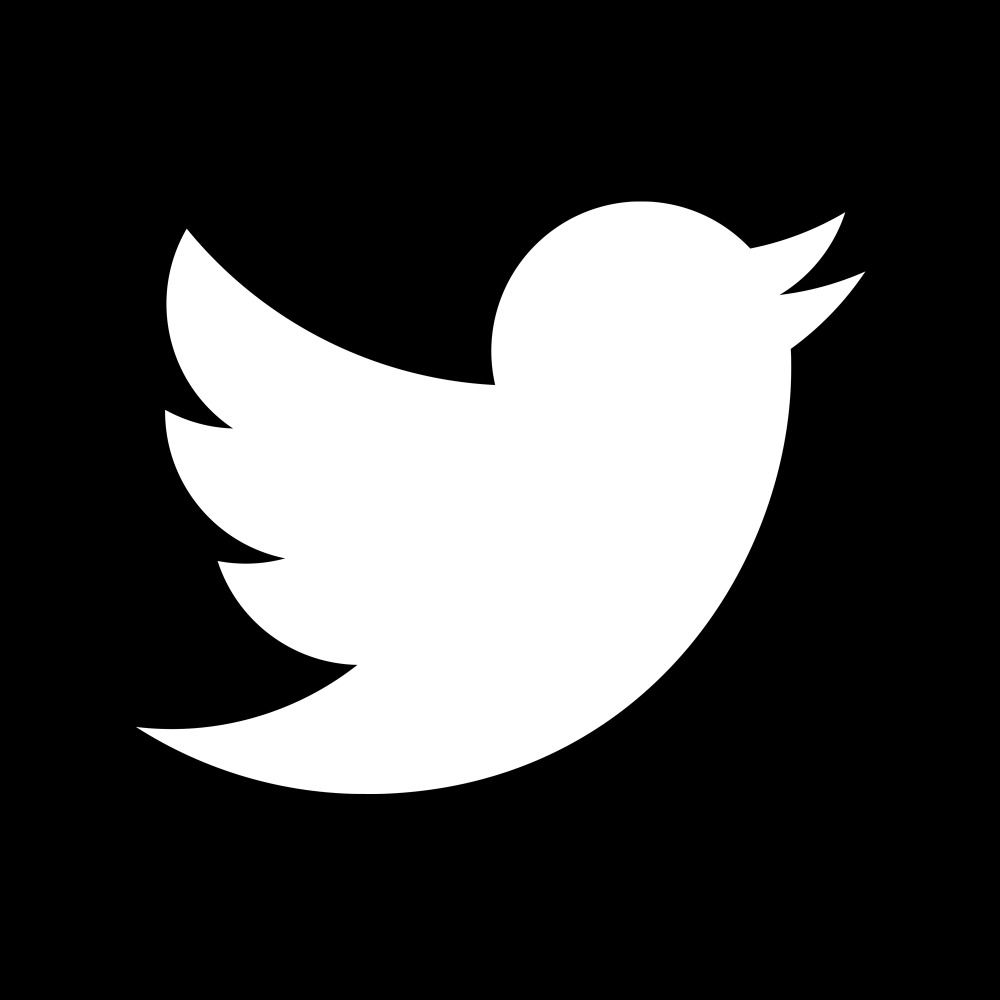 bird/h