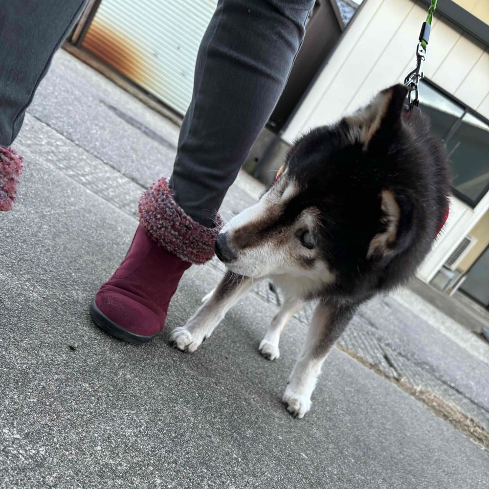 ゆみこ