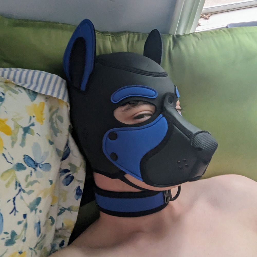 Pup Zephyr