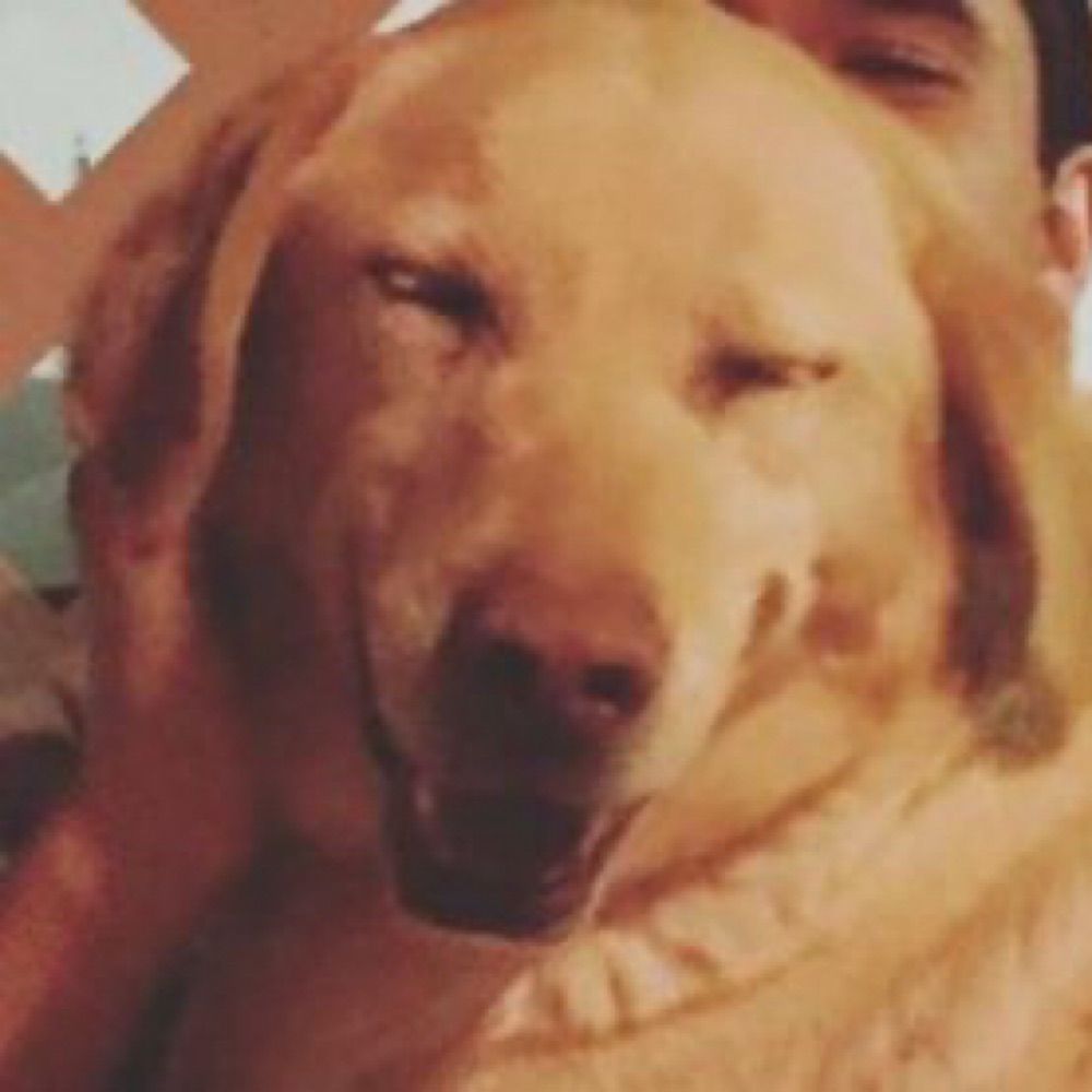 Alejandro