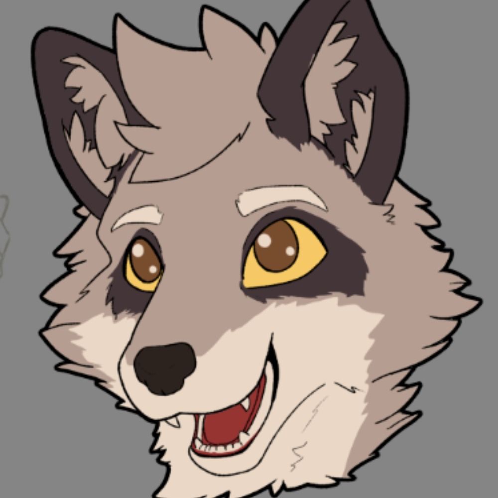 Marcus, o guaxinim 🦝