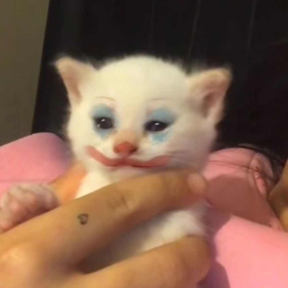 Lulii