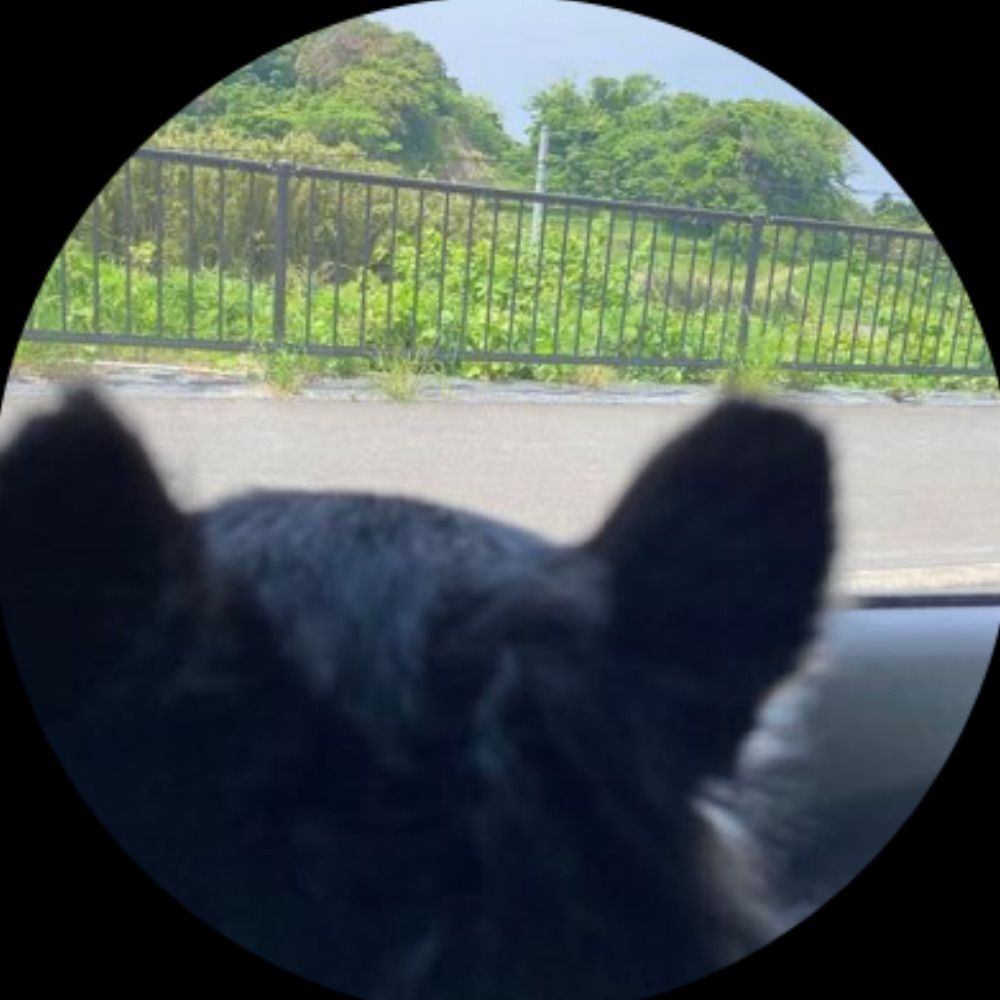 よしこ