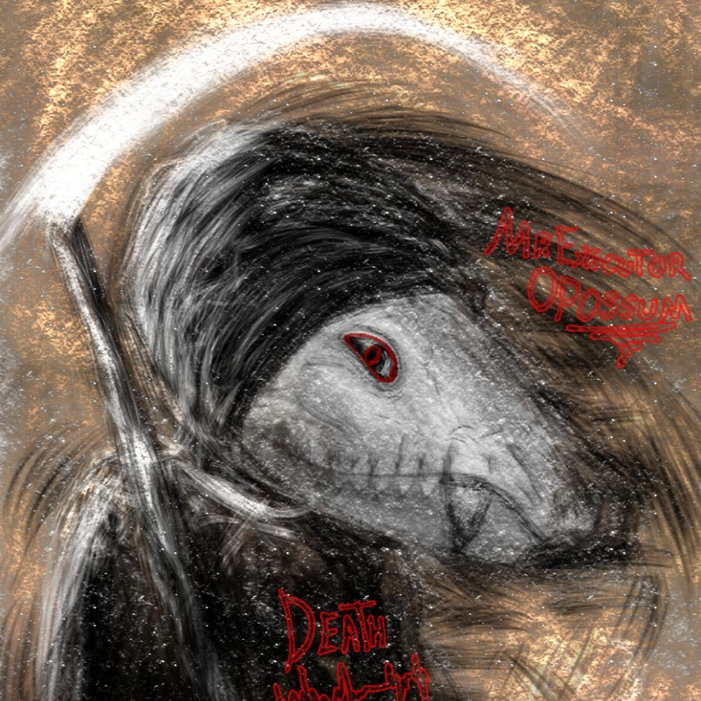 ⫷𝐌𝐫 𝐄𝐱𝐞𝐜𝐮𝐭𝐨𝐫 𝐎𝐩𝐨𝐬𝐬𝐮𝐦 ᴘʀᴏᴅᴜᴄᴛɪᴏɴs⫸