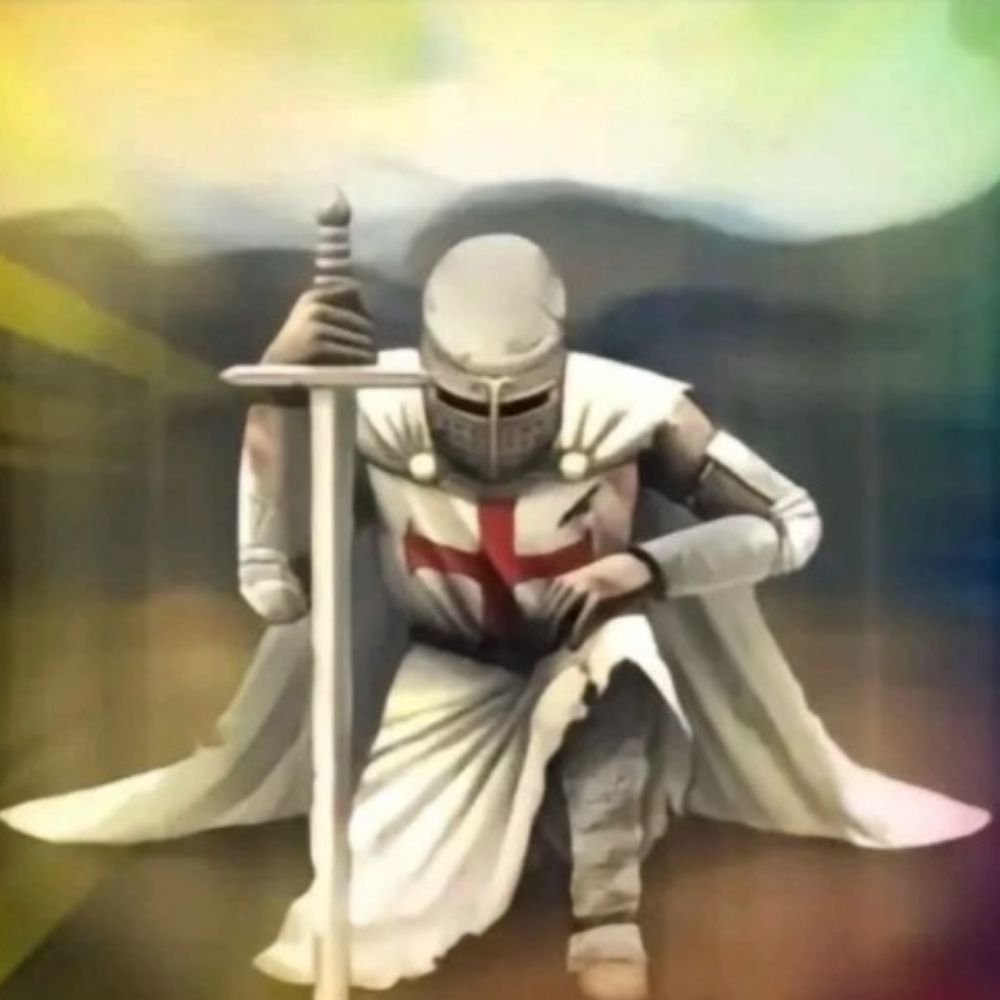 SIR.Ally