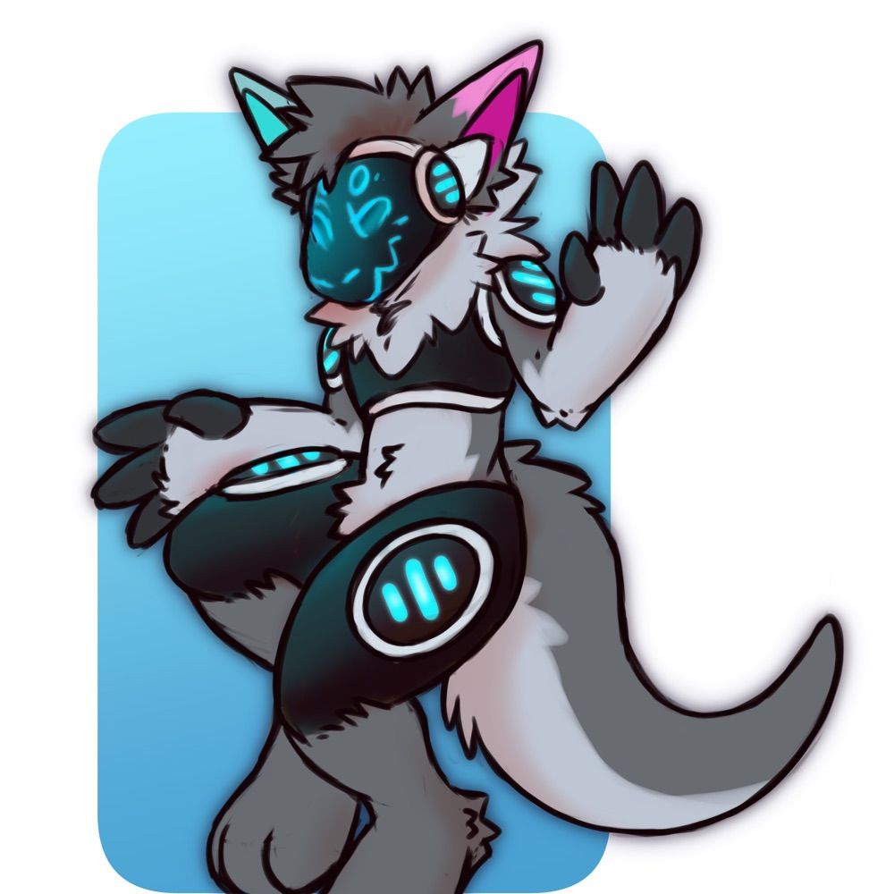 Padded Proto