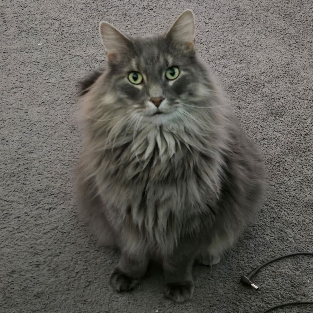 megan