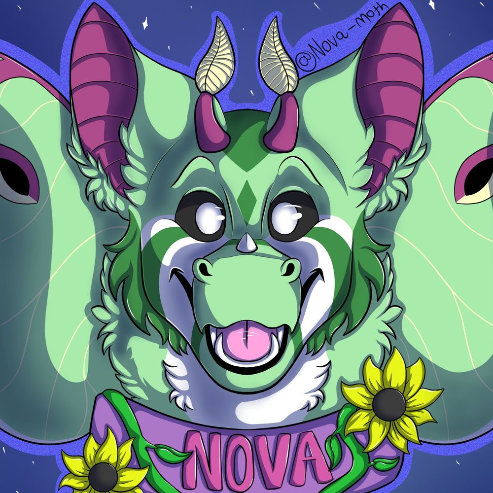 ✨| Nova |✨
