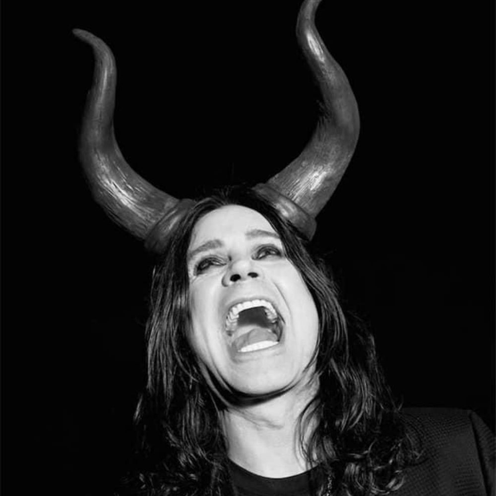 🕸️🦇🕸️