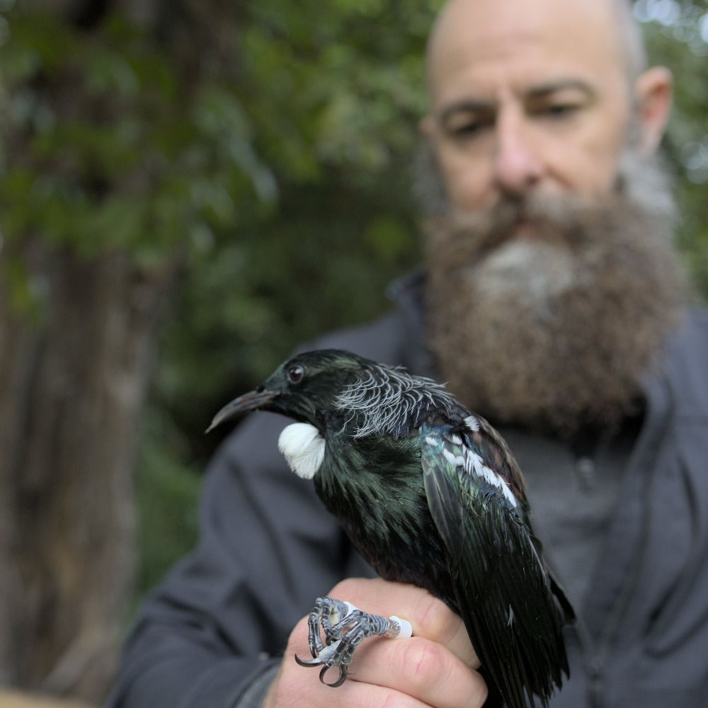 Chris Niebuhr, PhD