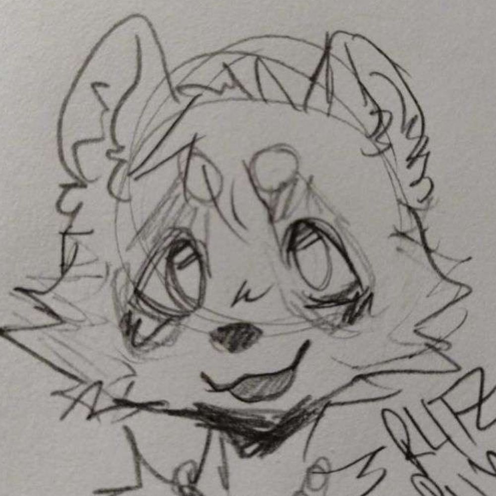 Borfo | 🦝🟧