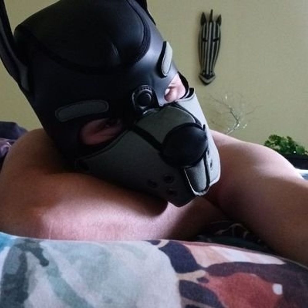 Pup Burdock