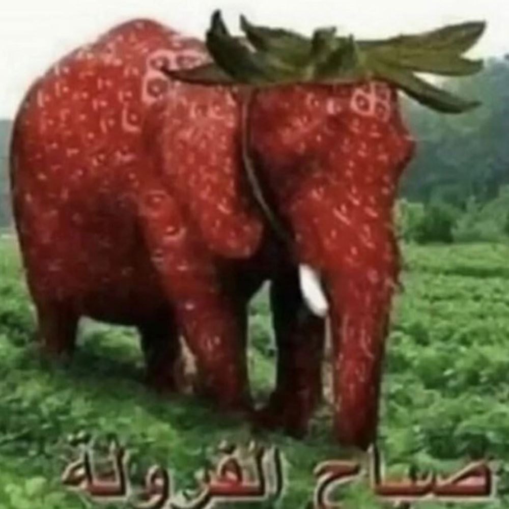 Algoterbag