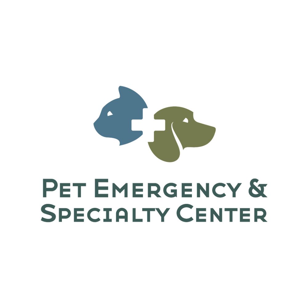 Avian and Exotics Service at Pet Emergency and Specialty Center