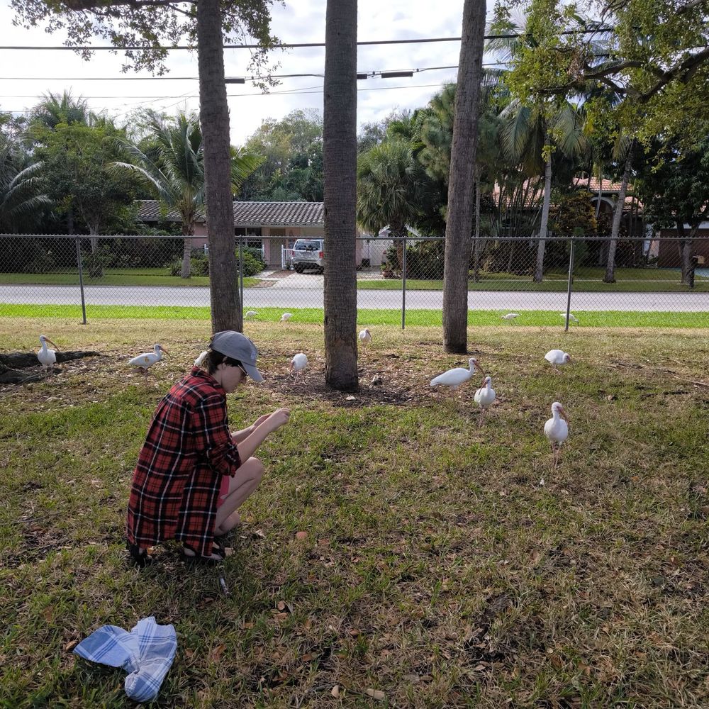 Doreen Chaussadas | The Urban Ibis Project