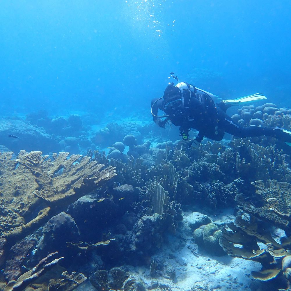 Marine Conservation Group @hifmb.bsky.social