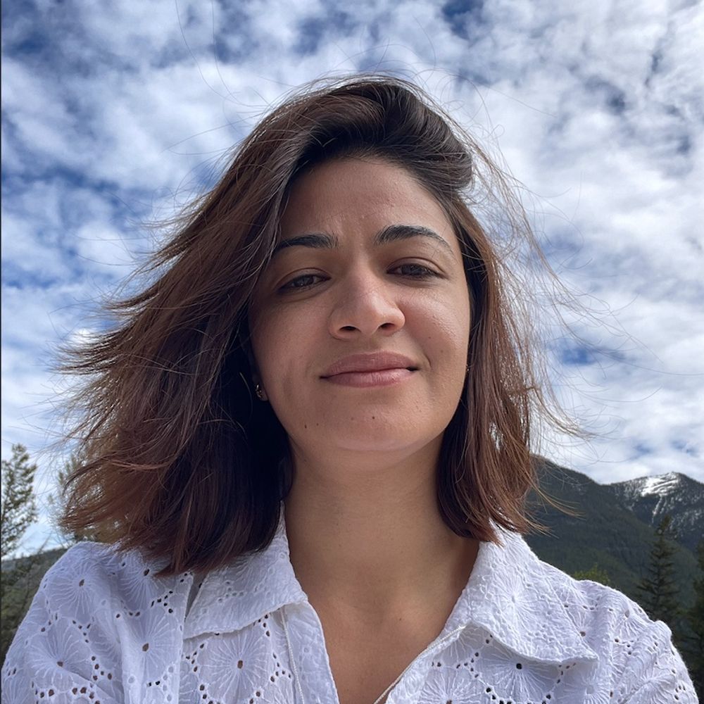 Razieh Nabi