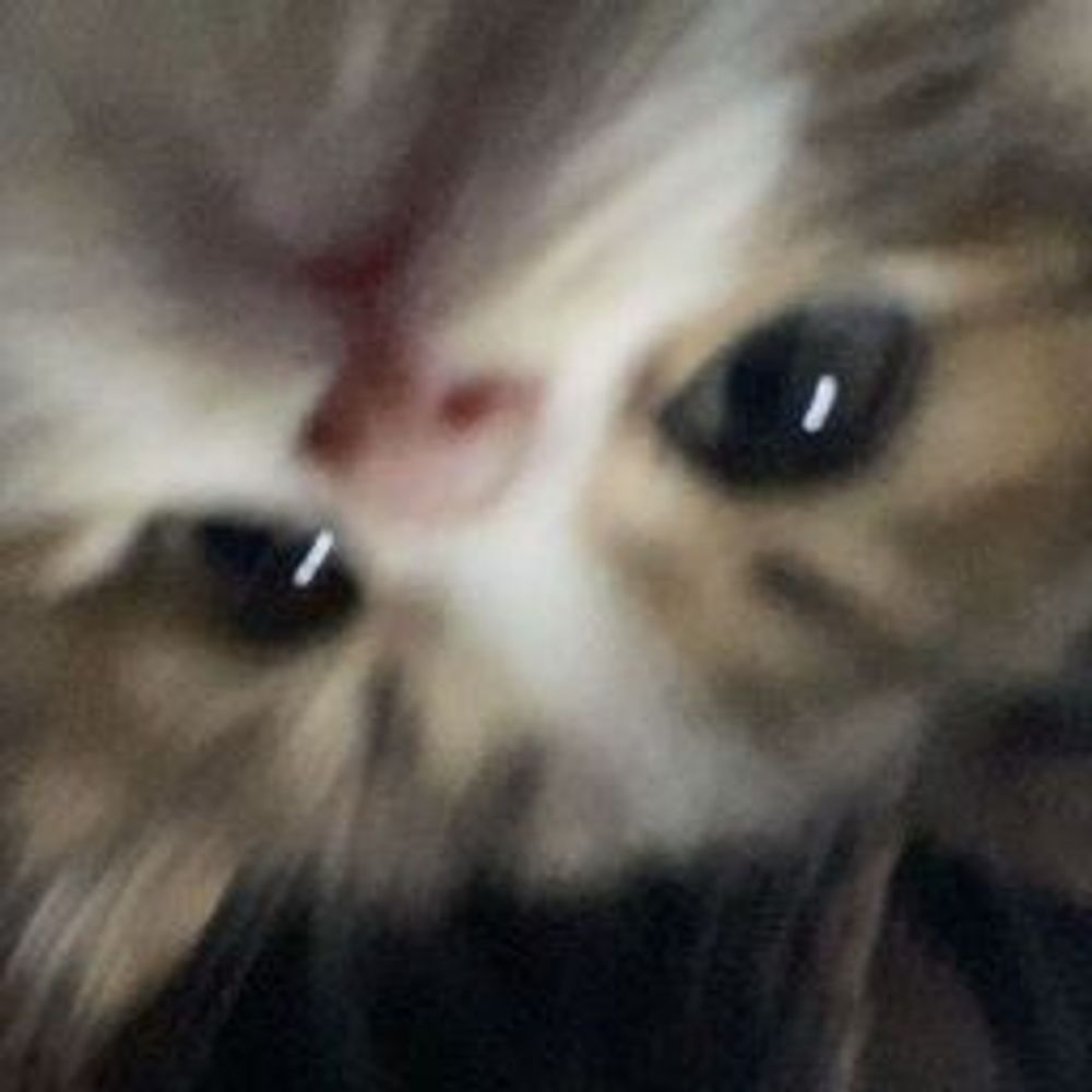 Nyxuuhart