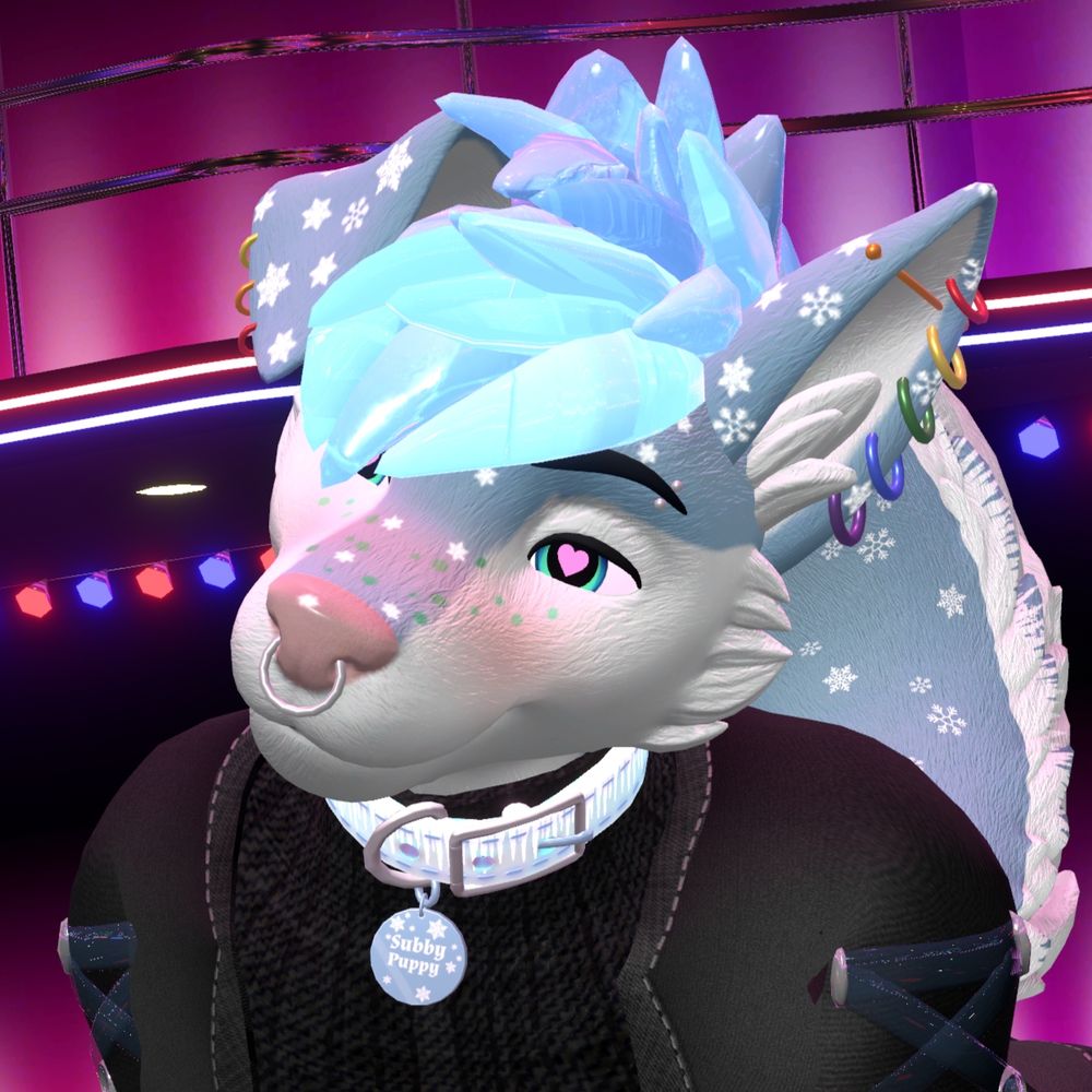 🩵❄️SnowDog❄️🩵
