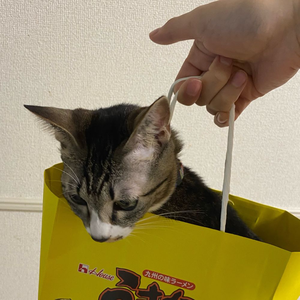 フォン