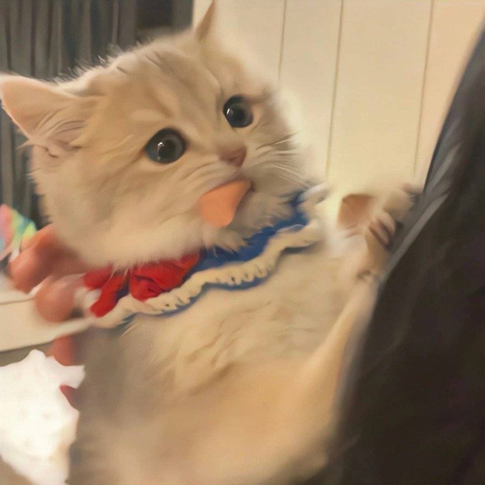 舒舒