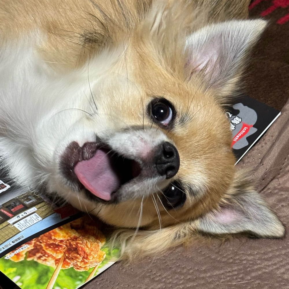 tmy