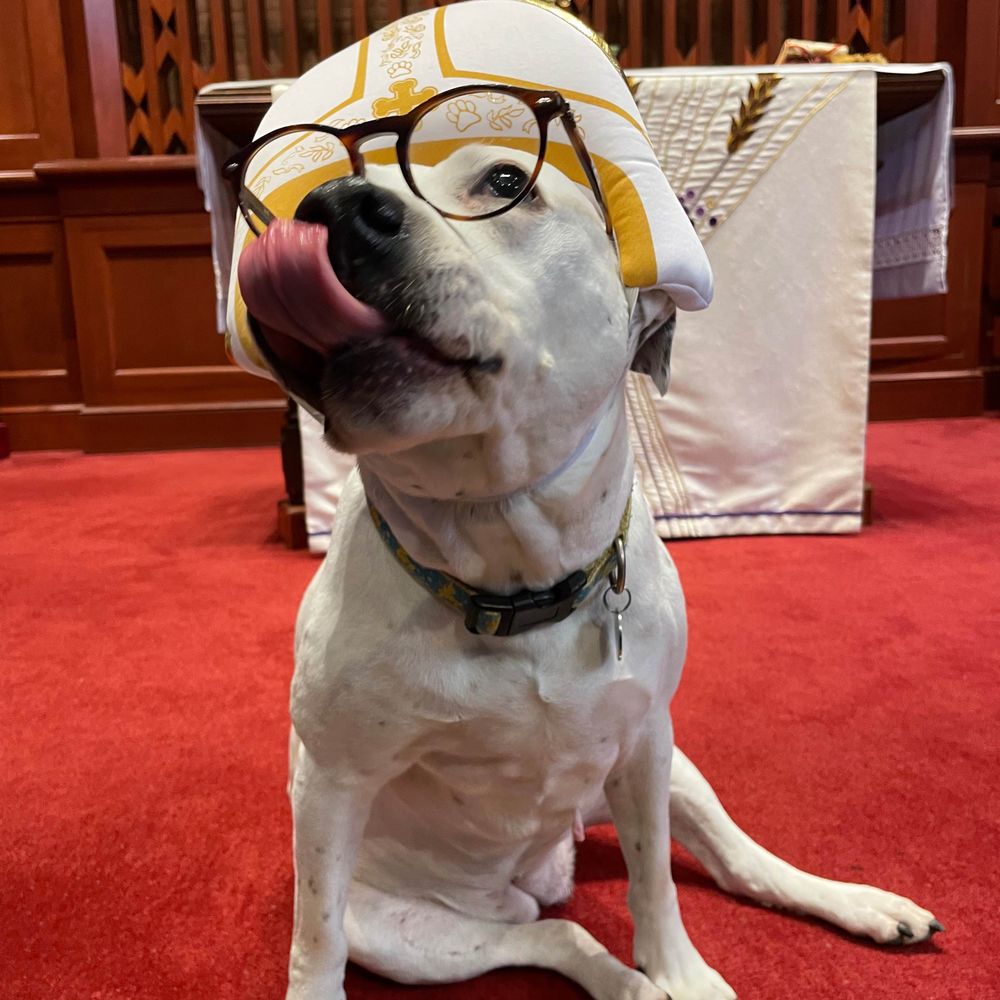 St. Luke's Episcopal Church in Alexandria, VA