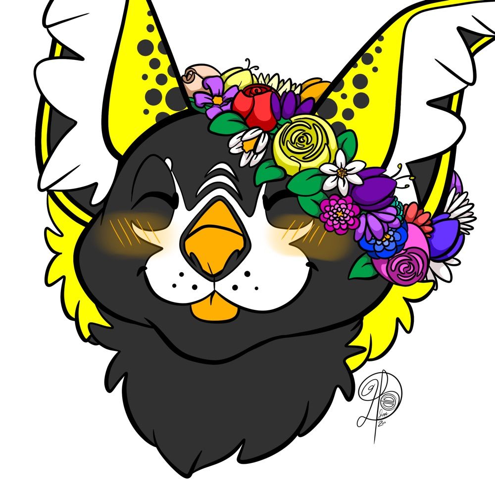 DerpyBeansPro [comms open!]