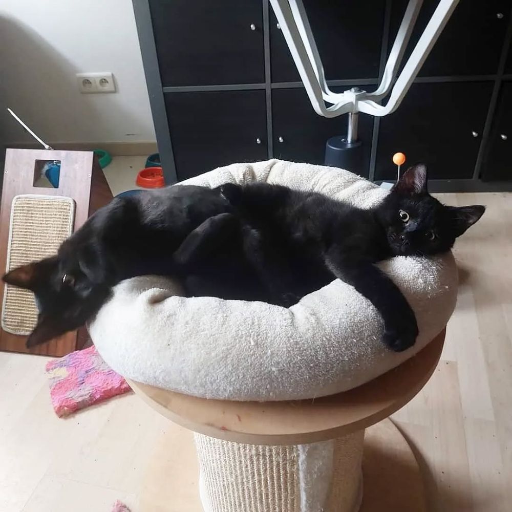 MARIA 😺