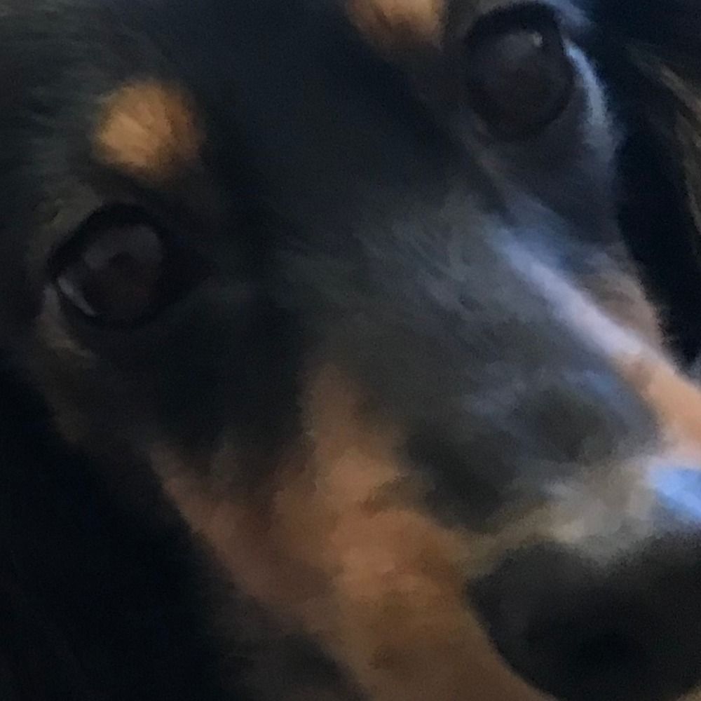 Maika