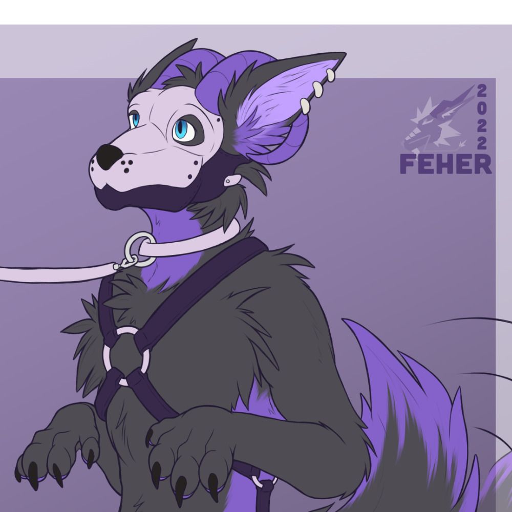 Pup Terox