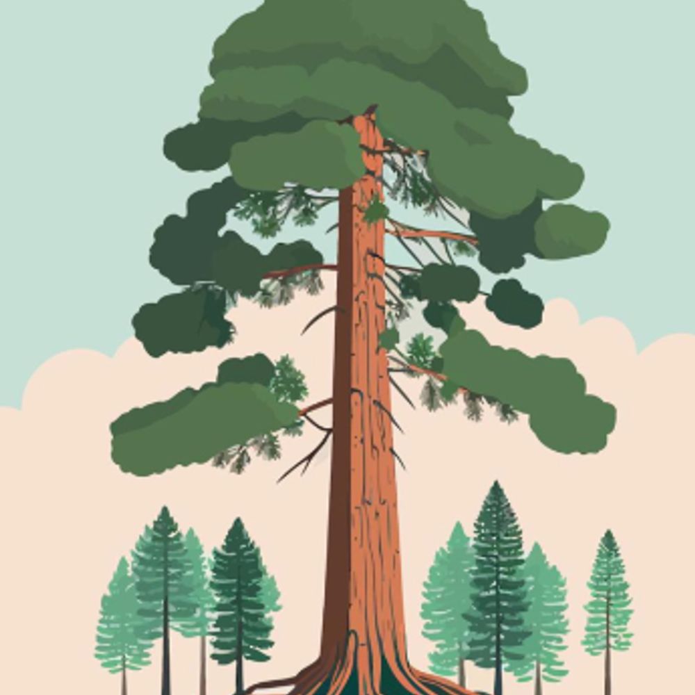 Giant Sequoia Parks