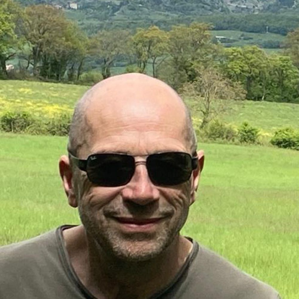 Luc Van de Woestyne