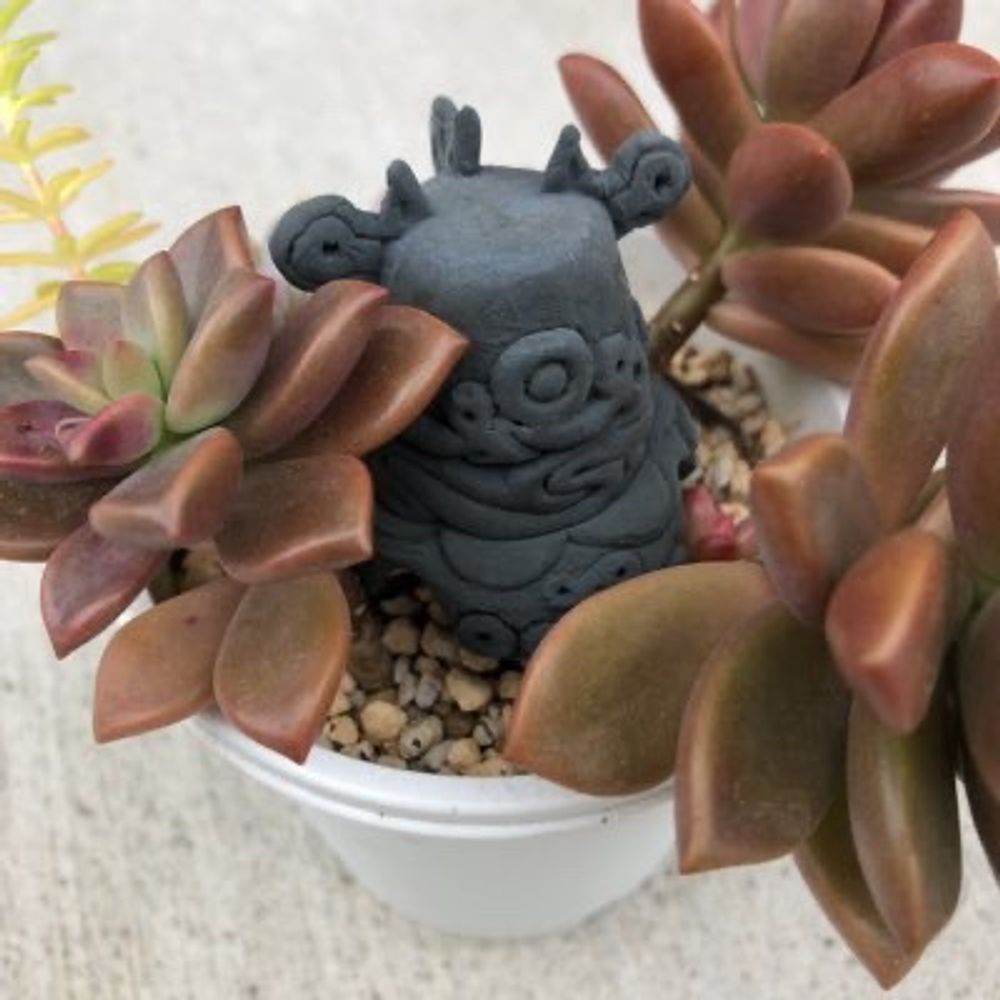 ウコ
