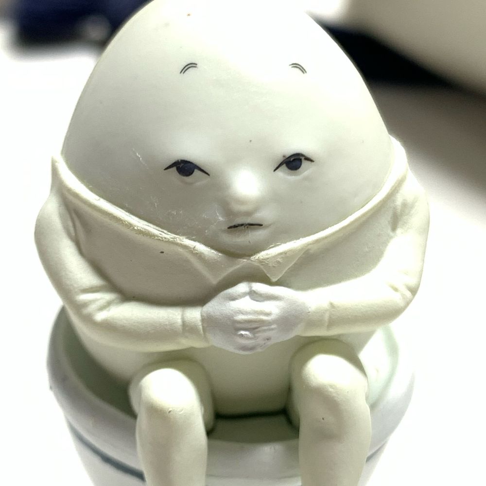 海鼠の眼