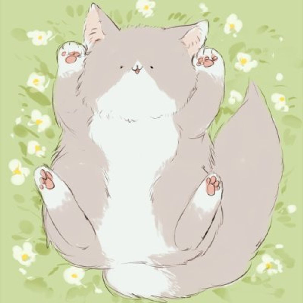 とりにく