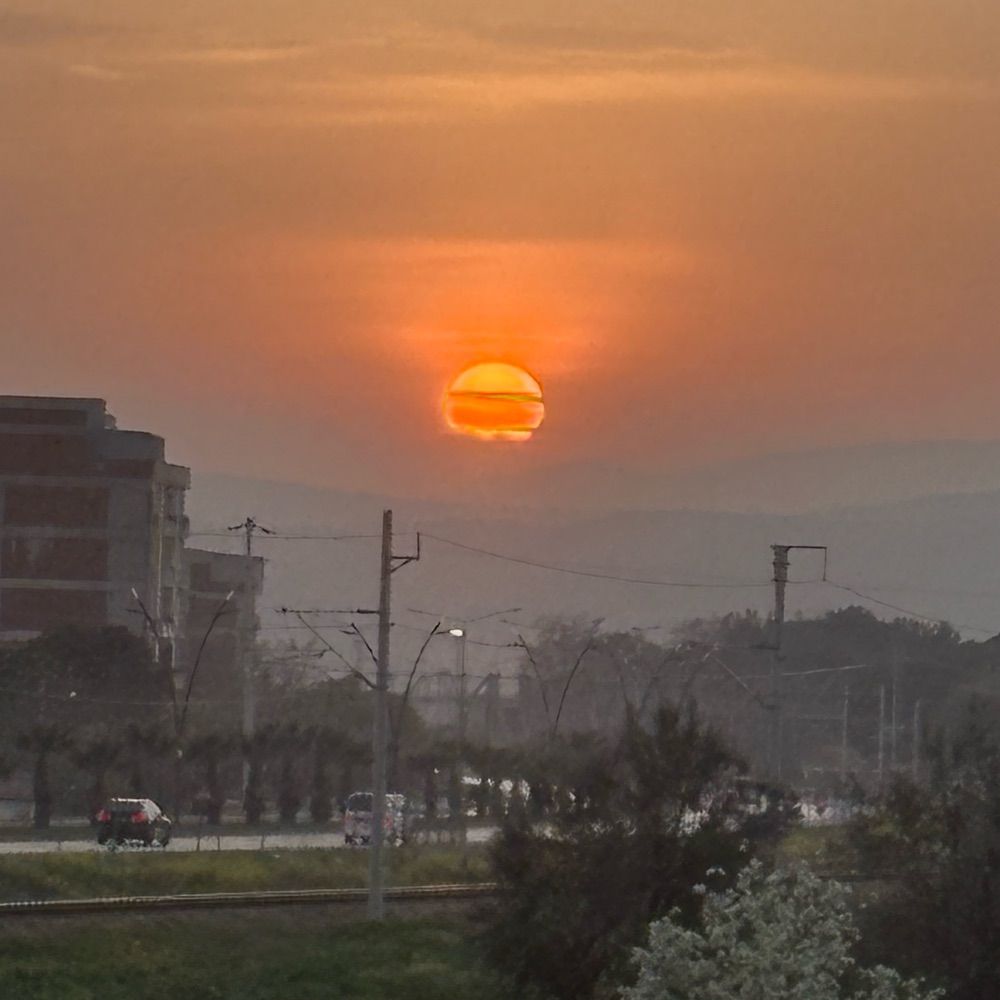 Kafkas Kartalı