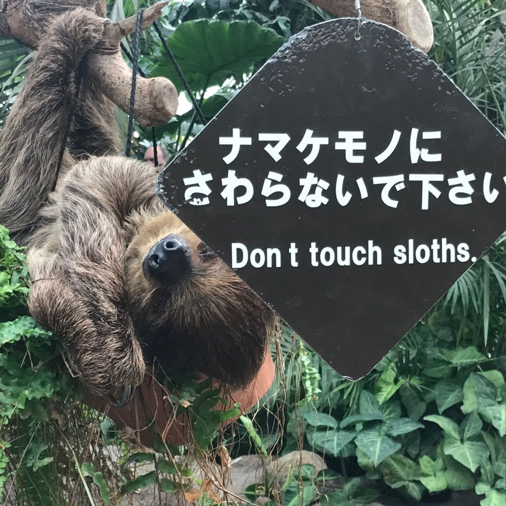 小間