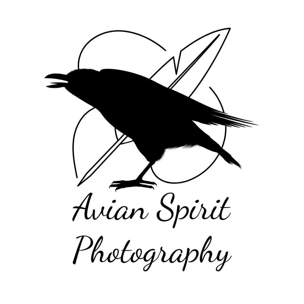 Avian Spirit Photography