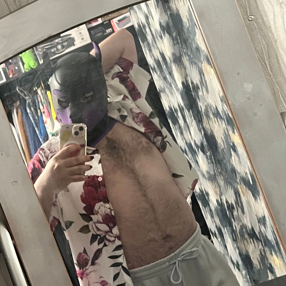 Pup Jay