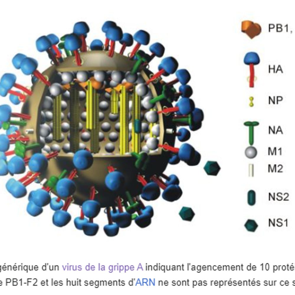 Avian Influenza Alert