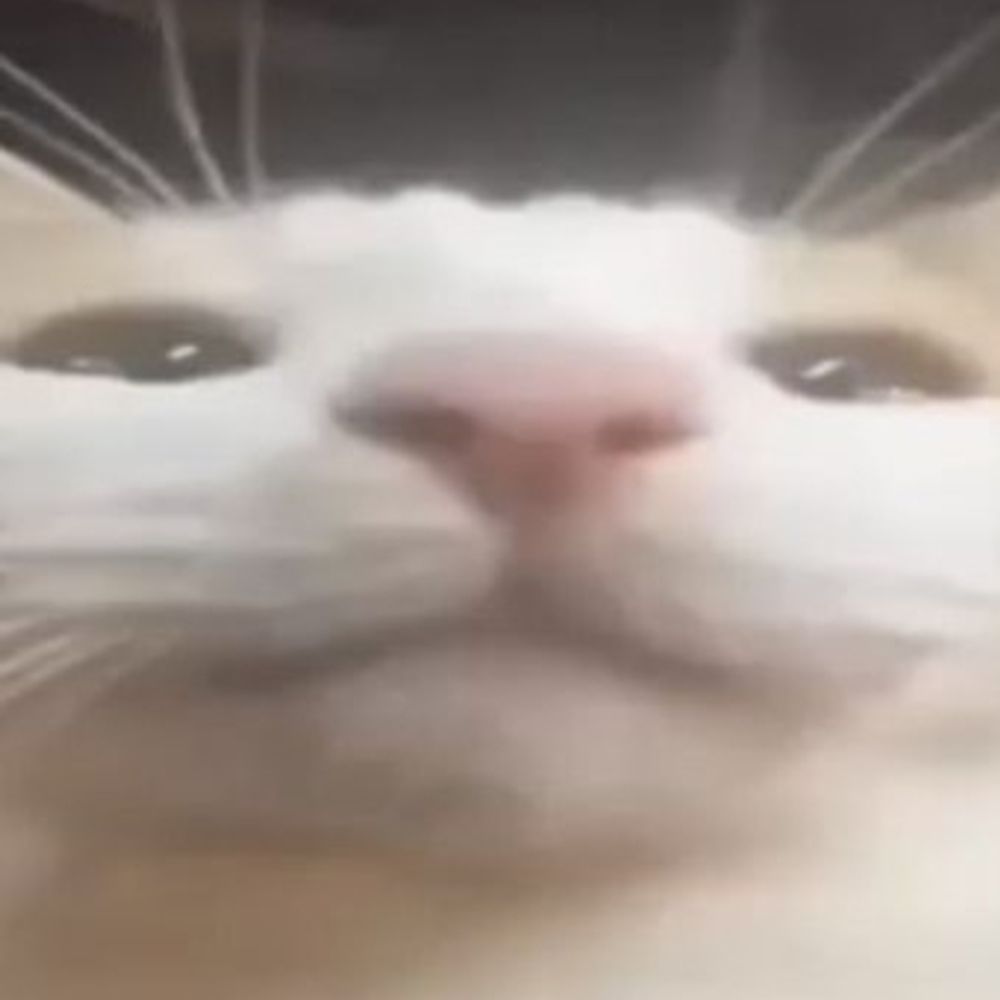 lucfoster.bsky.social