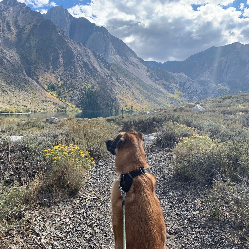 breeeeeeeeeeee.bsky.social