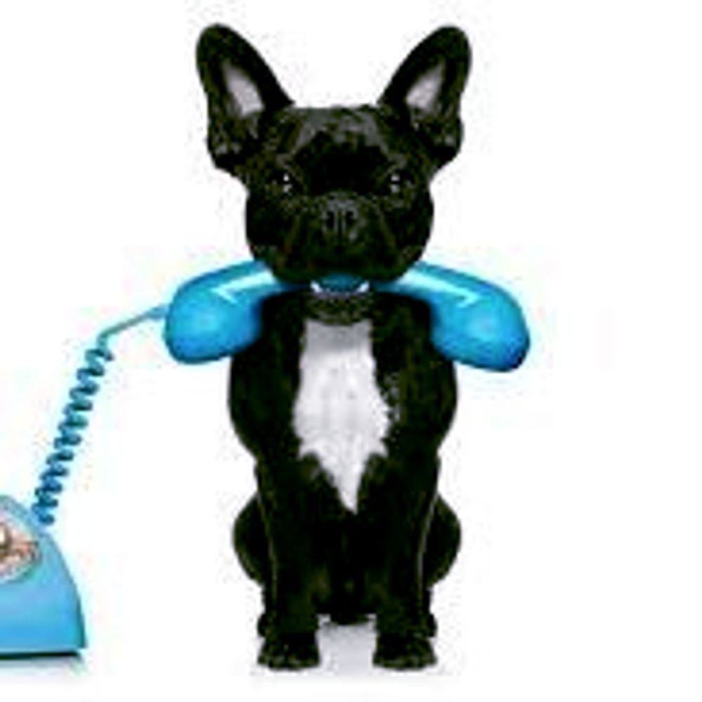 TeleBronek