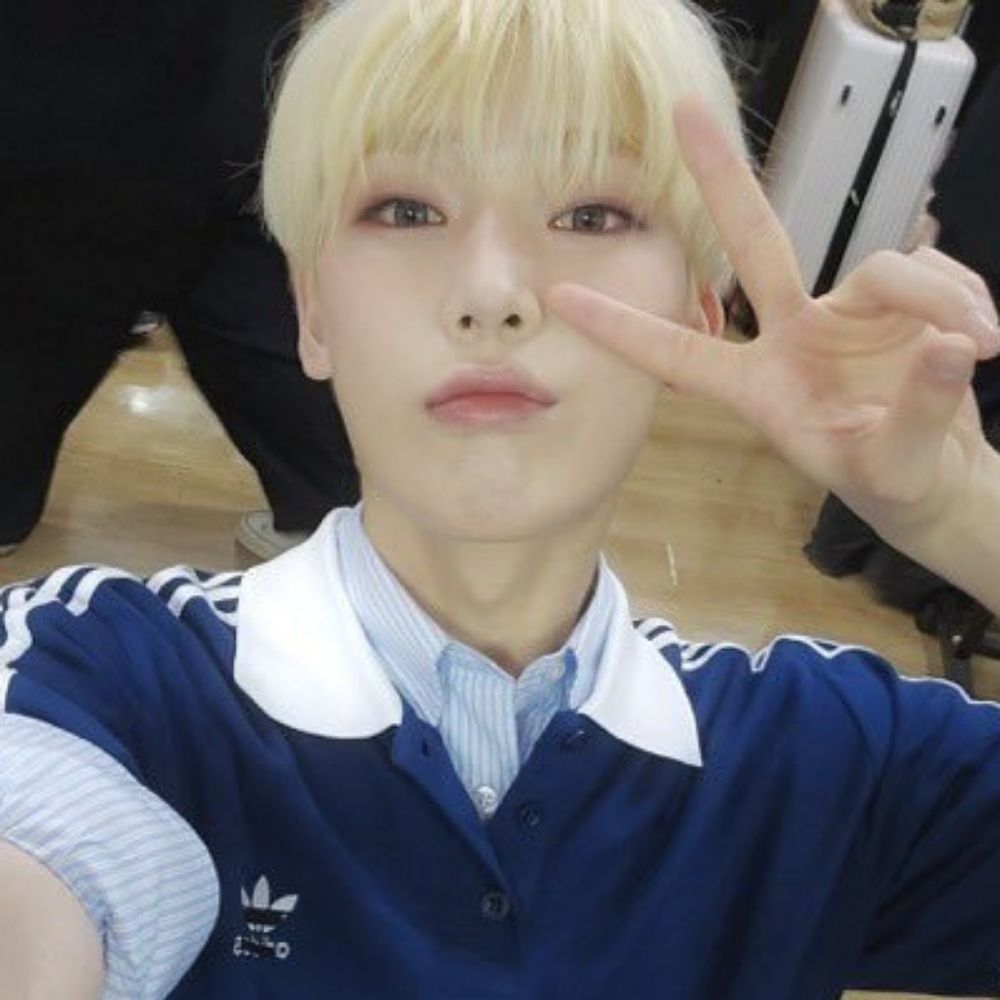 nic twink