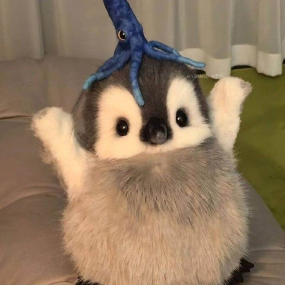 penguin