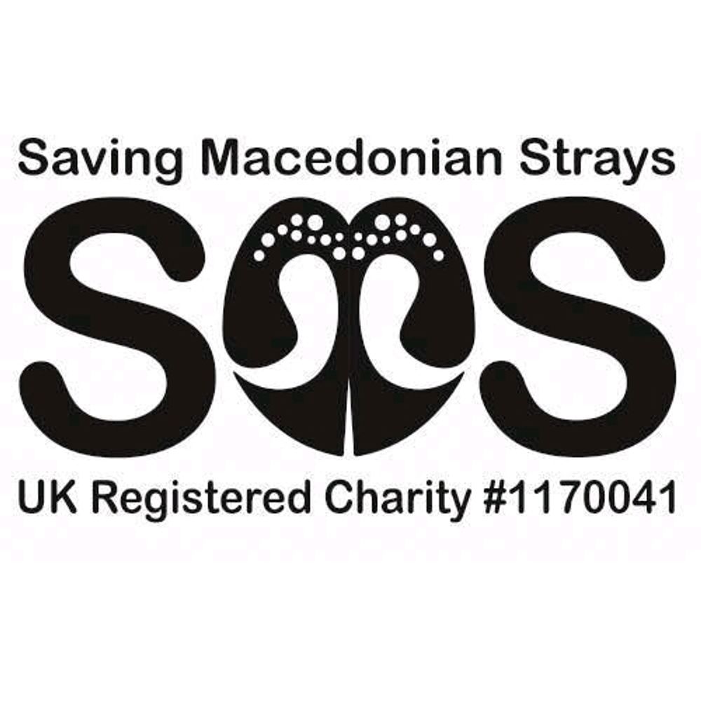 Saving Macedonia Strays