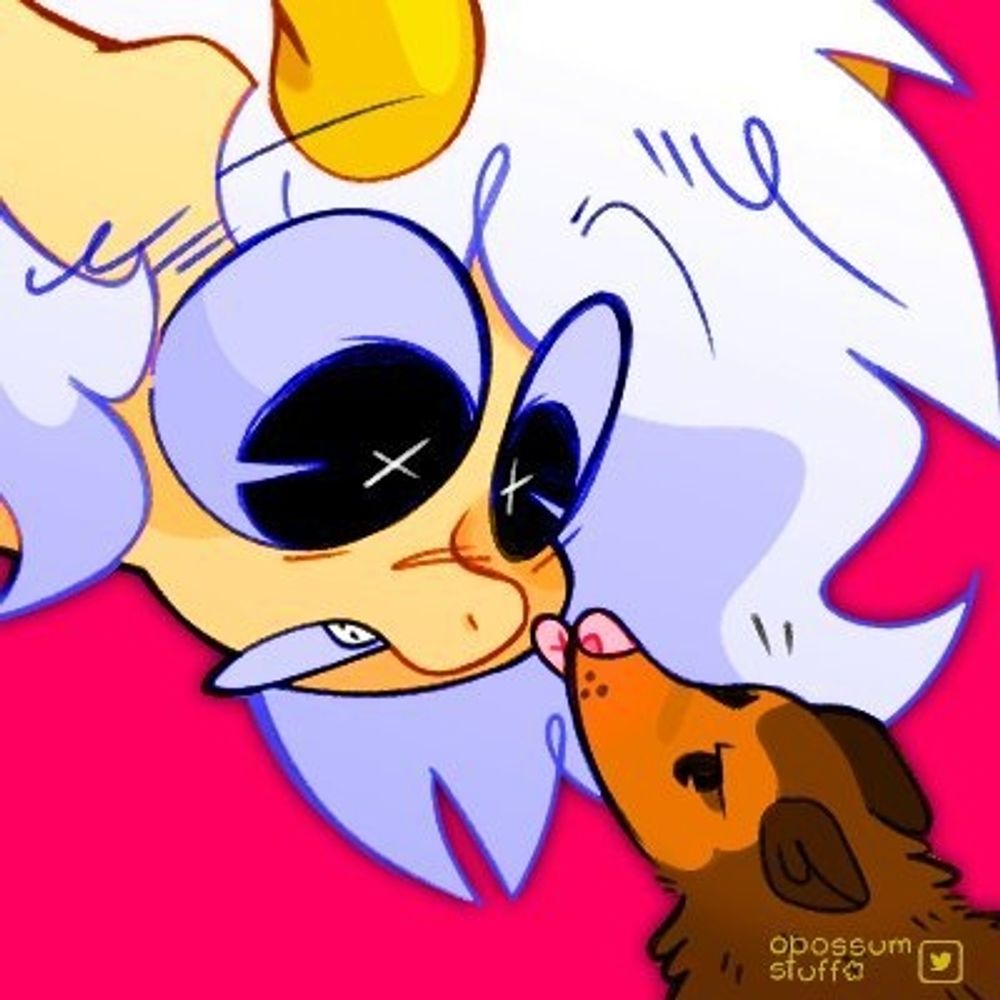 Opossum stuff