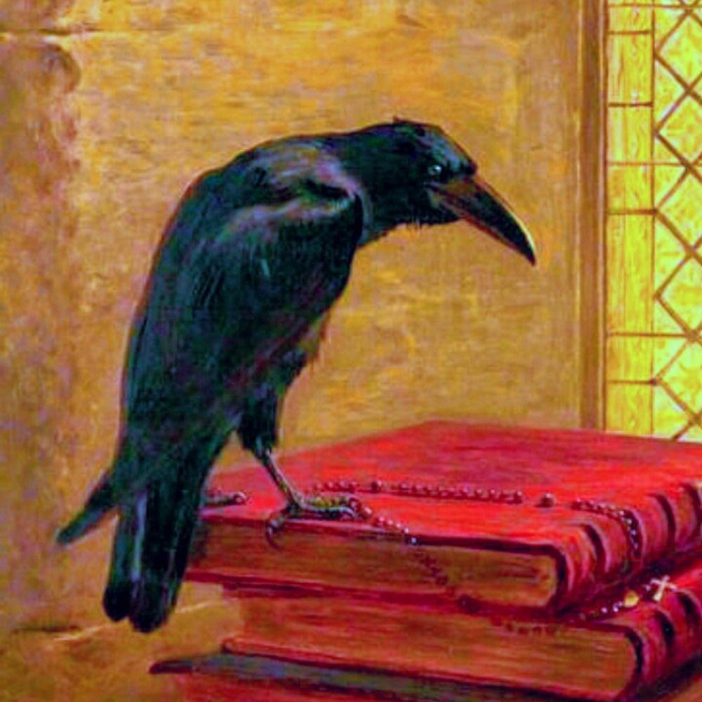 Jackdaws
